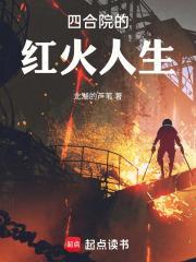 四合院的红火人生 四合院的红火人生
