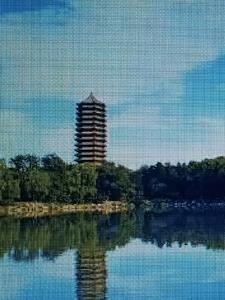 鸿缘的新书 鸿缘的新书