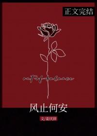 风止何安 风止何安