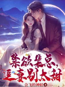 禁欲裴总,追妻别太甜 禁欲裴总,追妻别太甜